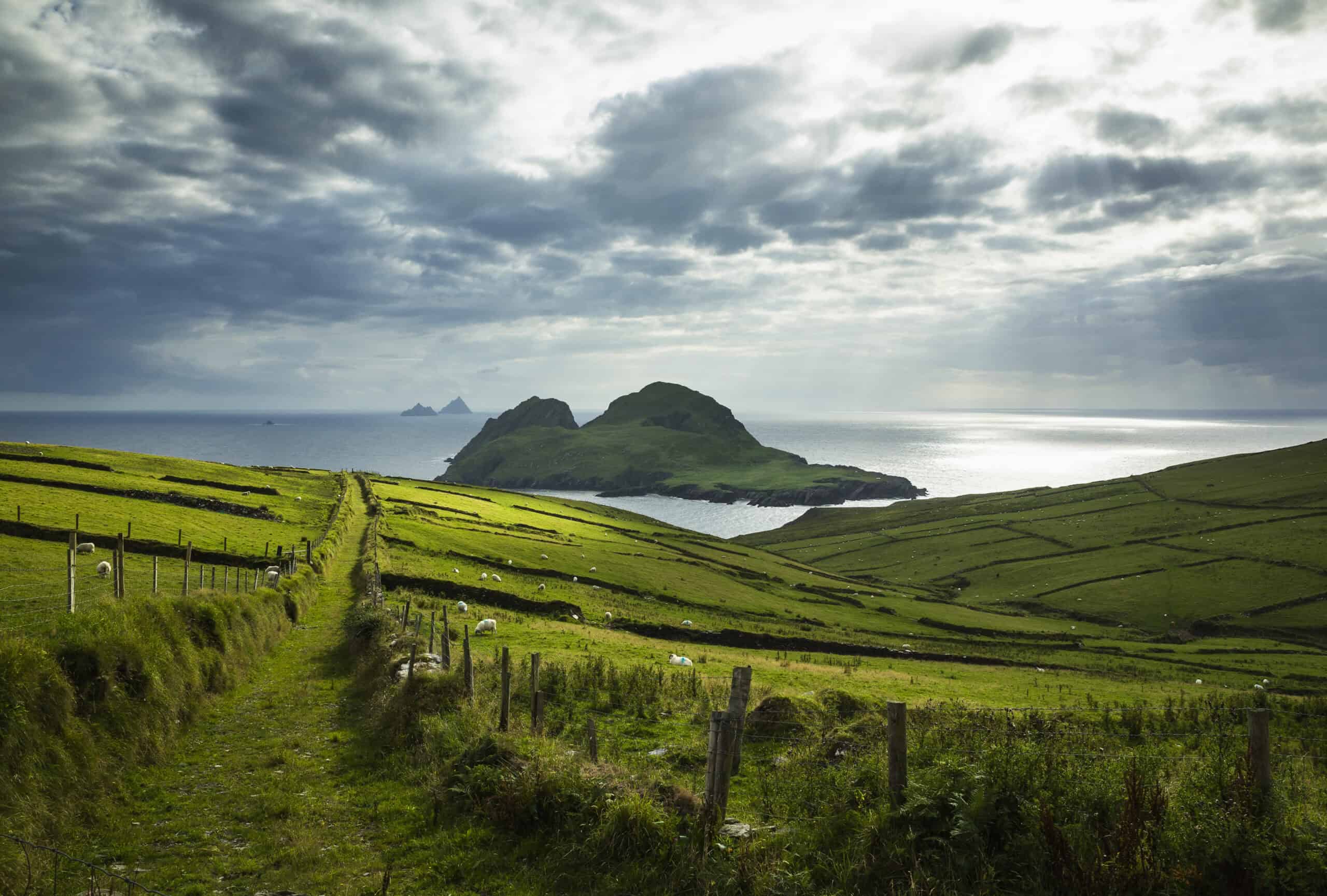 Ireland, Kerry County . St. Finian's Bay, view of Puffin Island