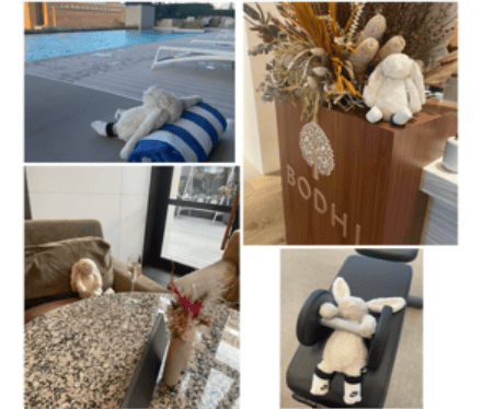 Stuff toy enjoying Westin