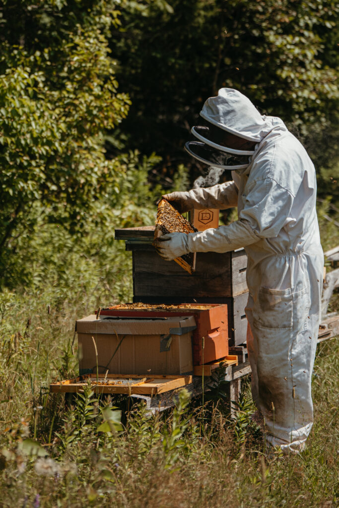 Zach J. Dual Finance Director at the Maritimes, Canada